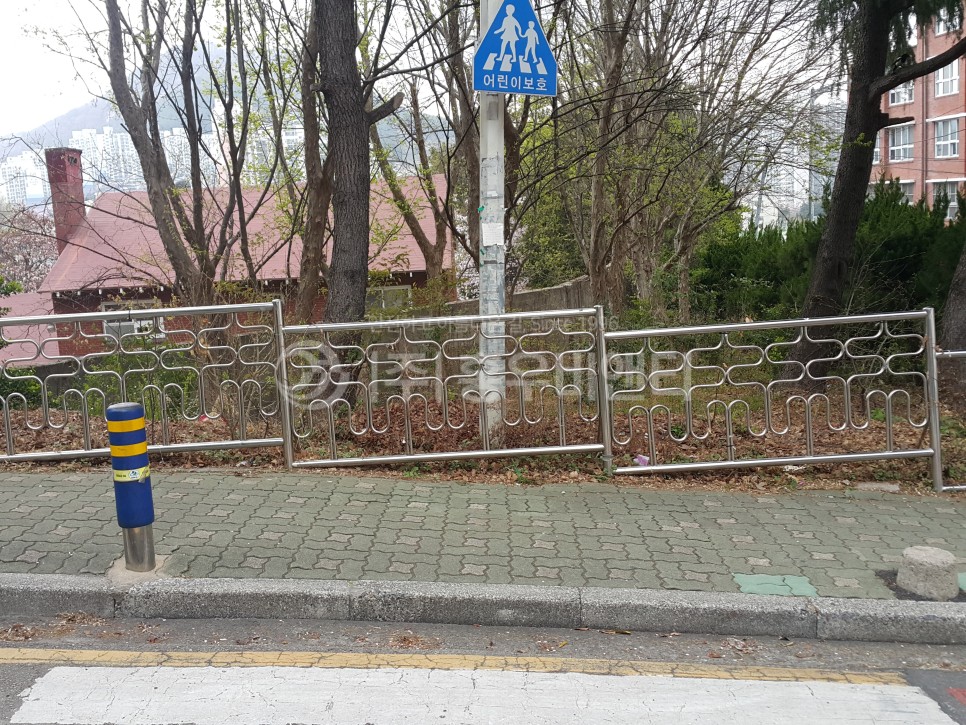 홍우_부산_연제구_토현초교_옐로카펫_01.jpg