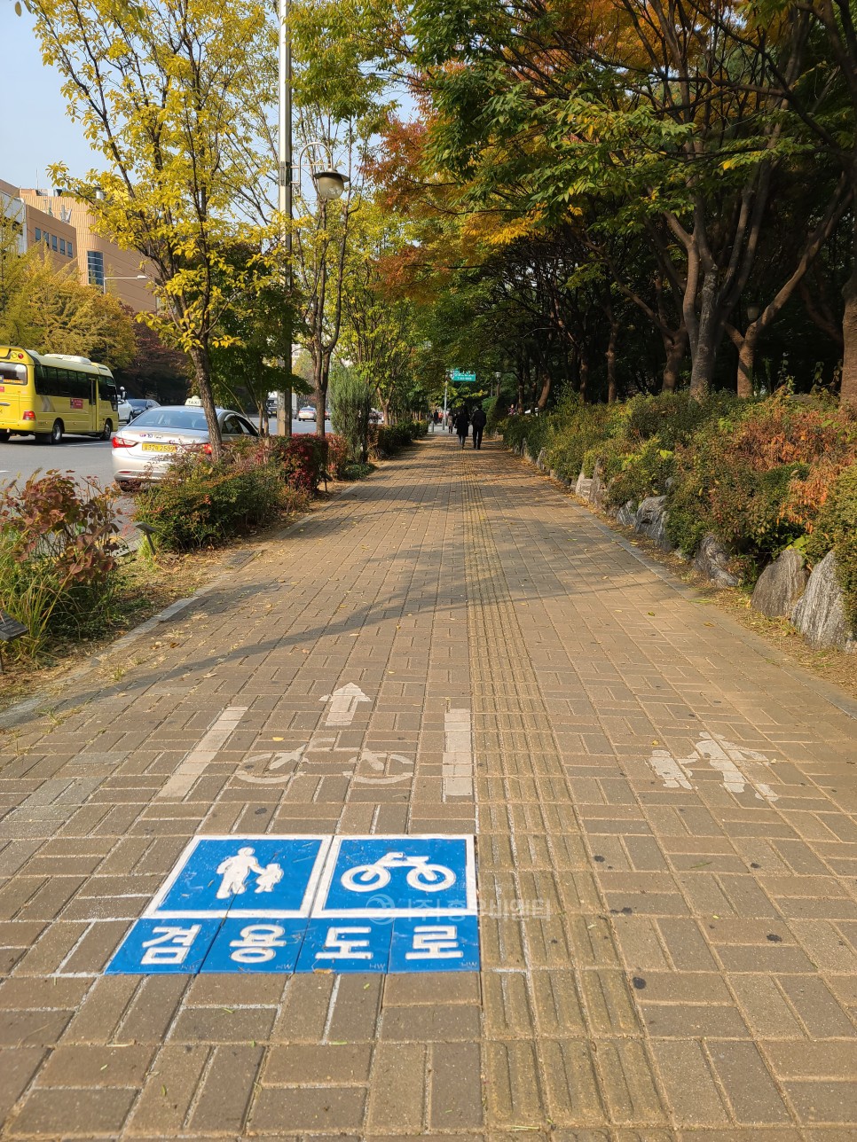 홍우비앤티_자전거_겸용도로_강동구_설치_후2.jpg