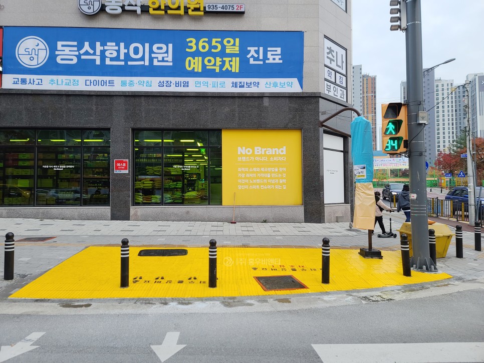 동삭초_수정_워터마크.jpg