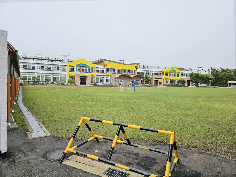 제주도_서귀포시_덕수초등학교_옐로카펫__(2).jpg