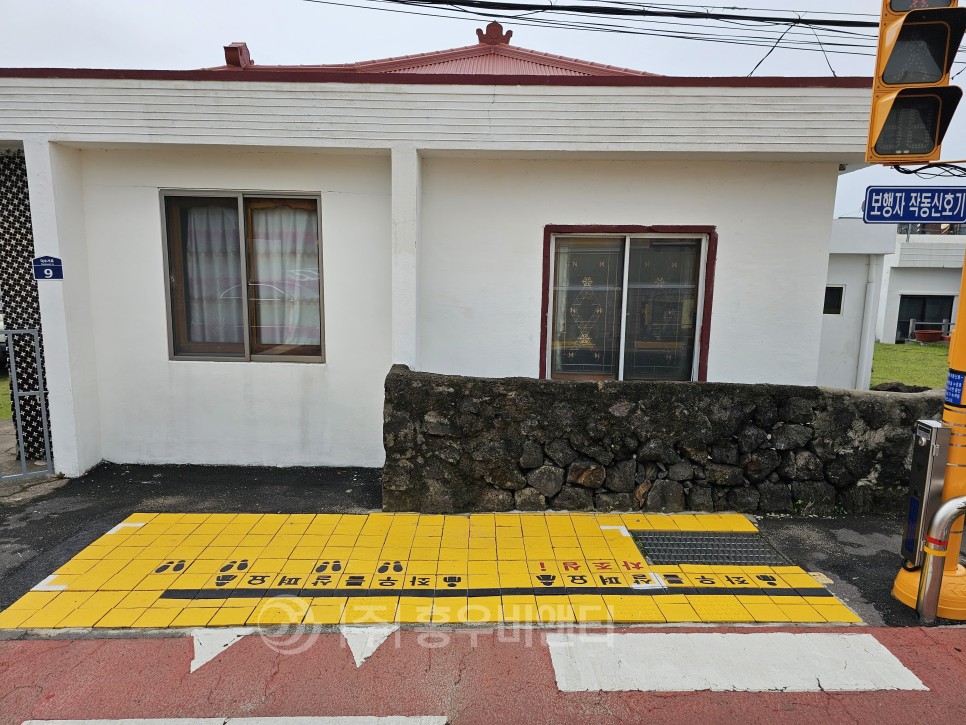 제주도_서귀포시_덕수초등학교_옐로카펫__(6).jpg