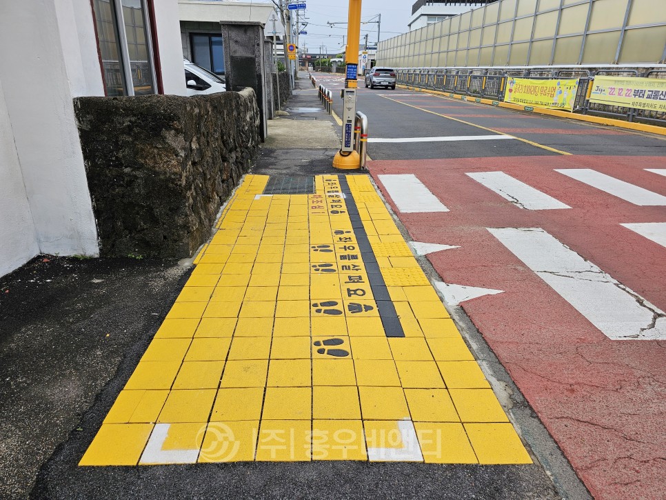 제주도_서귀포시_덕수초등학교_옐로카펫__(5).jpg