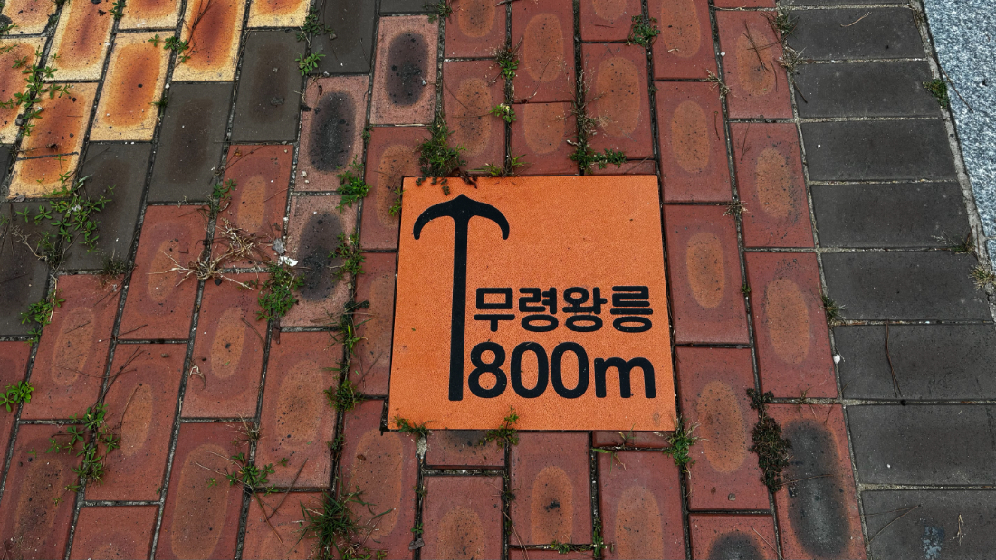 공주시_방향표시_웨이파인딩_2025.08 (5).jpg