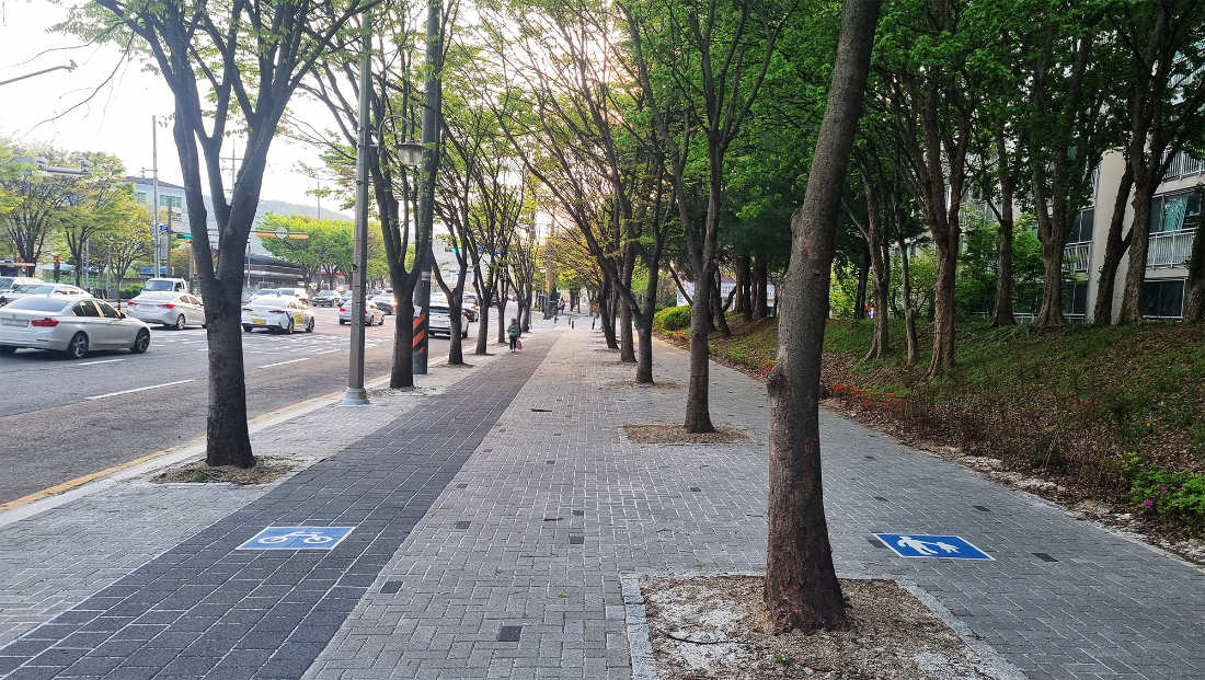 -- 자전거전용도로 바닥표시 바닥아나내 자전거길 자전거도로6.png