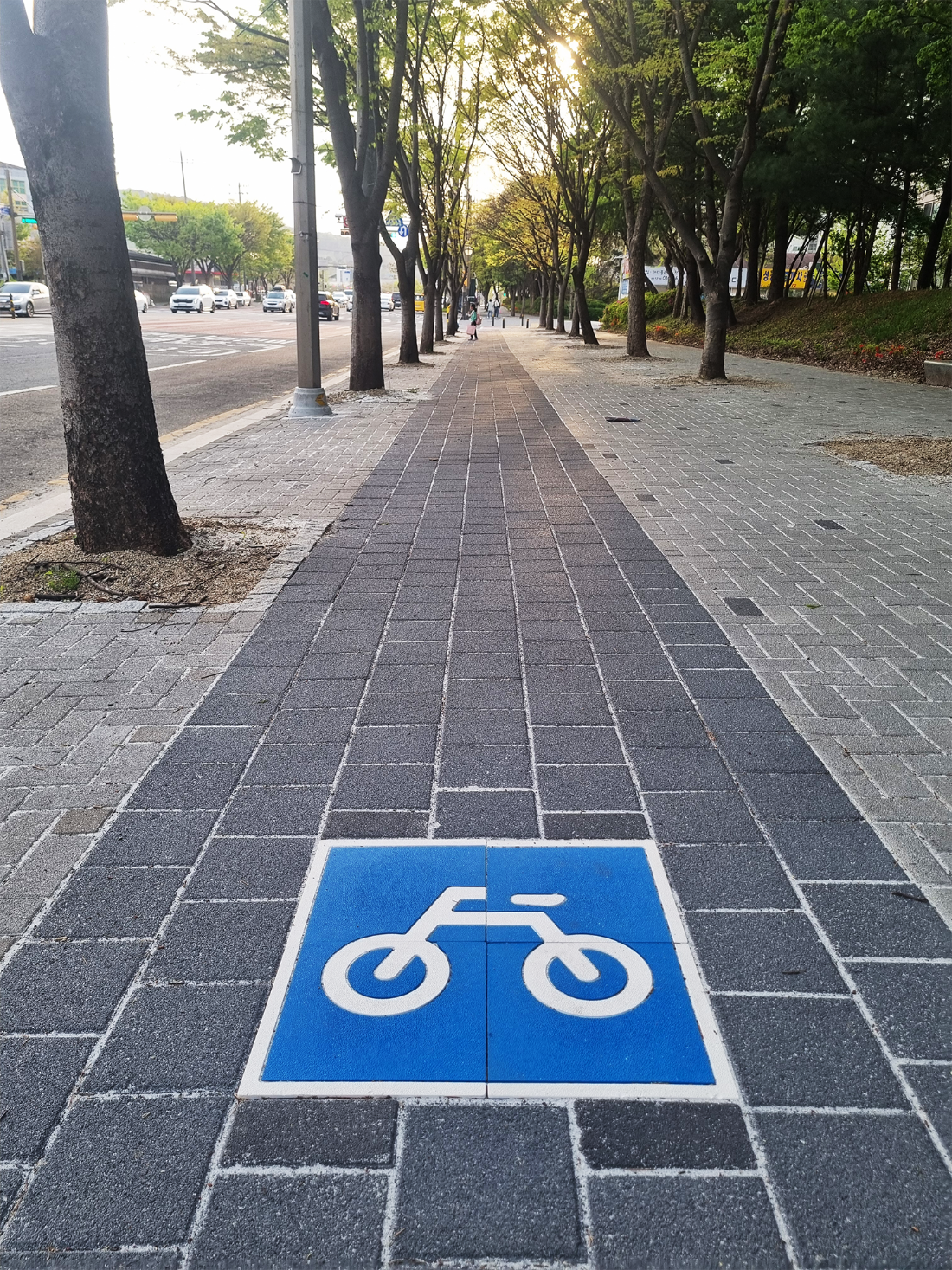 -- 자전거전용도로 바닥표시 바닥아나내 자전거길 자전거도로5.png