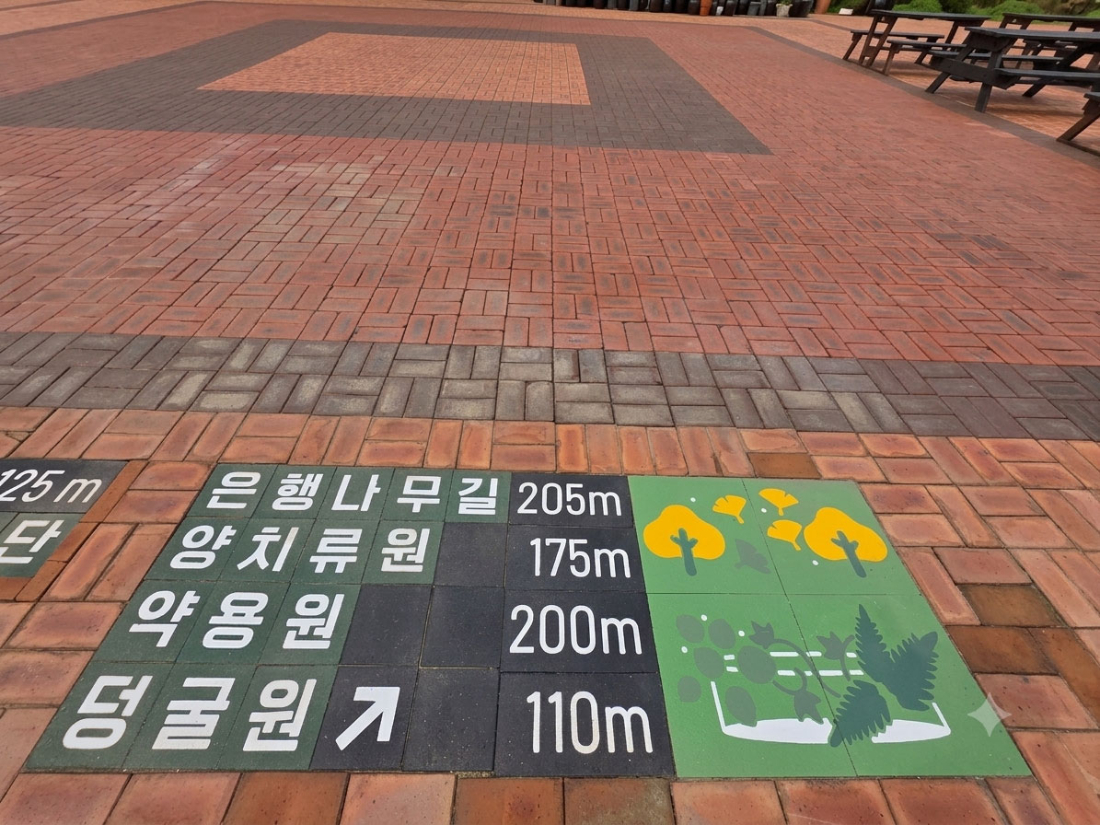 06.jpg